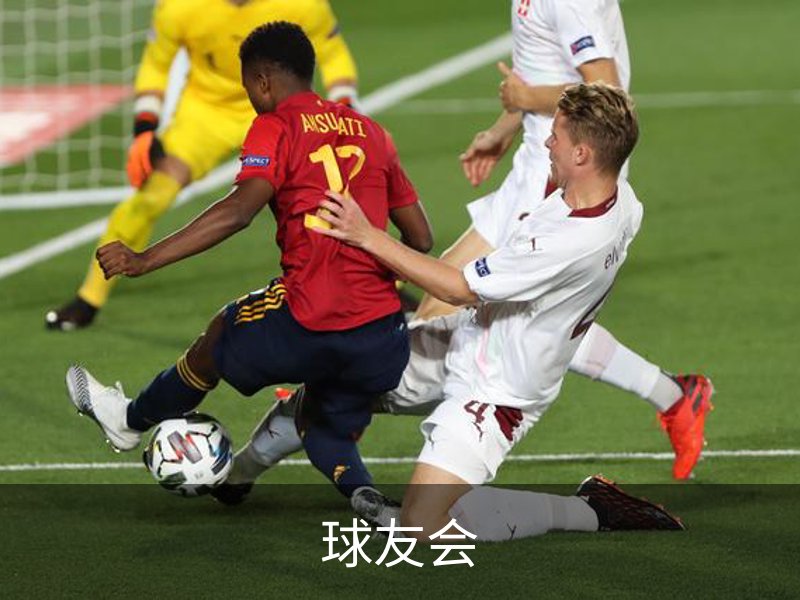 球友会概况